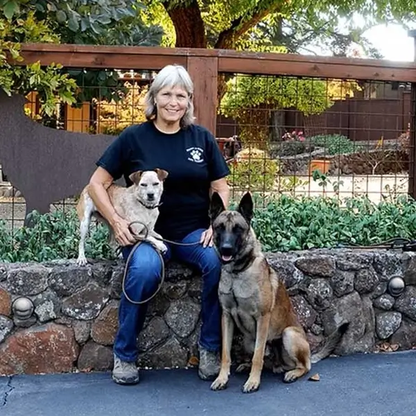 dog trainer colleen with two well-behaved dogs during a training session at sniff and wiggles in napa county california