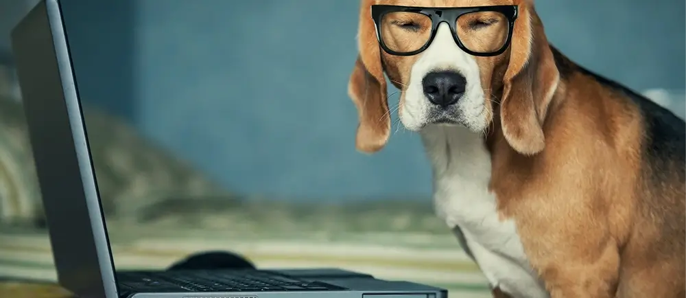 Discover the top dog names for 2025